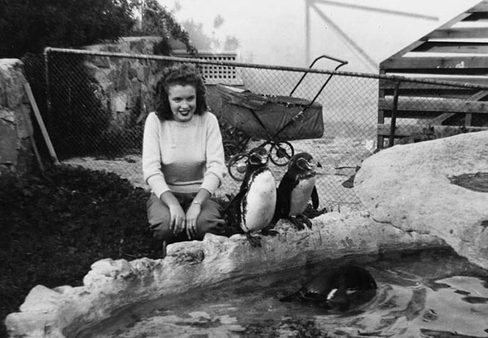 Image credits: Silver Screen Collection/Hulton Archive/Getty Images